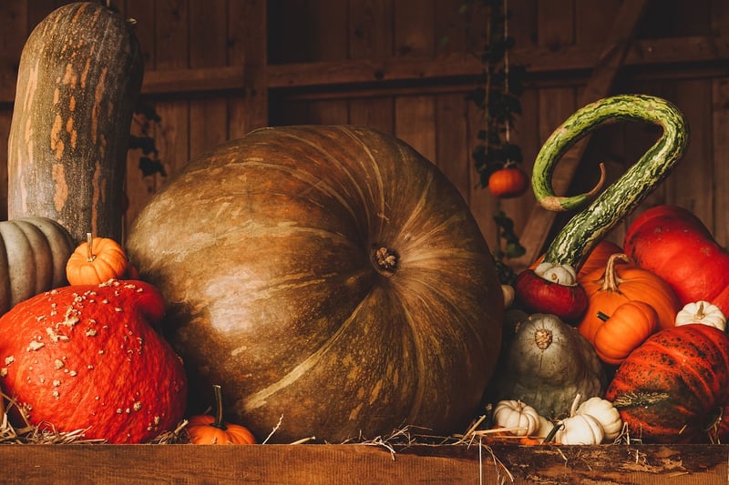 Roasted Pumpkin Seeds